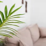 Casa Muma ホリデーパーク カルプ